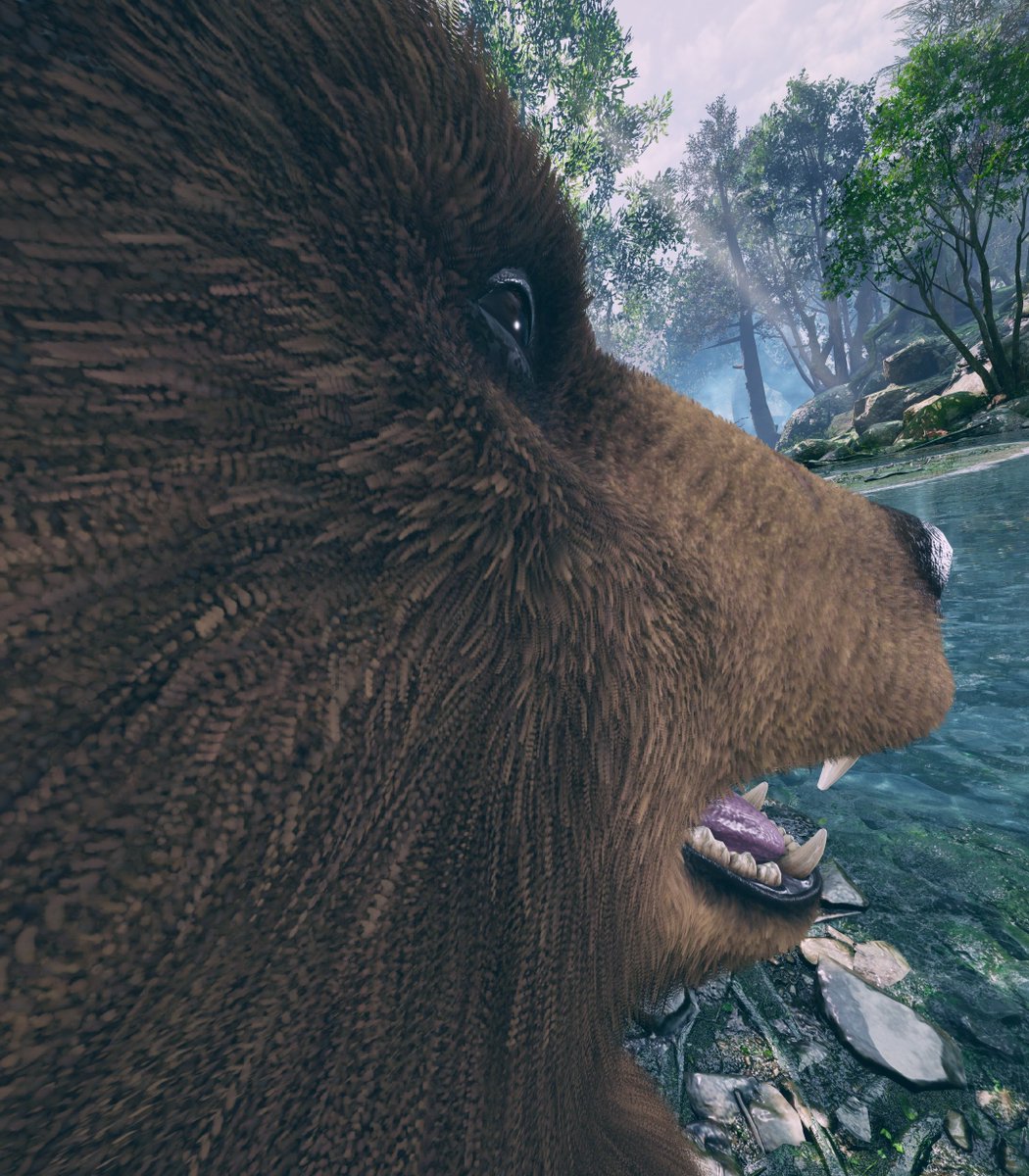 bears from this angle are so funny looking