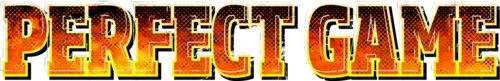 Fatal Fury: City of the Wolves HUD Elements 20_01_Announce_PerfectGame