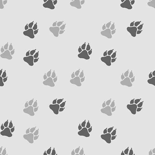 Fatal Fury: City of the Wolves Color Edit Patterns UPT_043_A