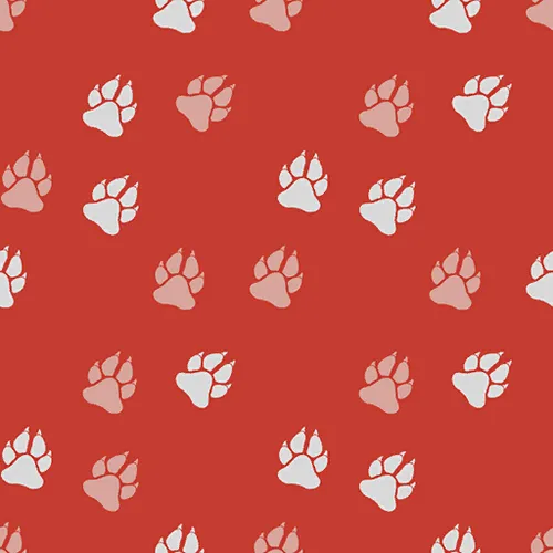Fatal Fury: City of the Wolves Color Edit Patterns UPT_043_C