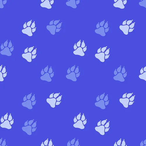 Fatal Fury: City of the Wolves Color Edit Patterns UPT_043_G
