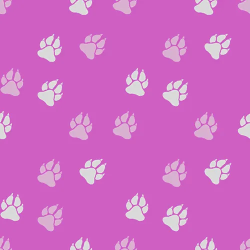 Fatal Fury: City of the Wolves Color Edit Patterns UPT_043_H