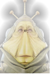 Ben Quadinaros hologram