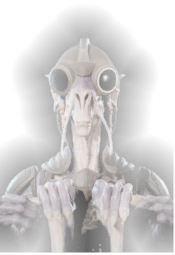 Sebulba hologram