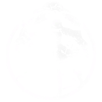Star Wars: Galactic Racer Insignias T_UI_Insignia_Icon_004
