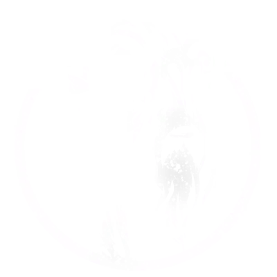 Star Wars: Galactic Racer Insignias T_UI_Insignia_Icon_DLX_004