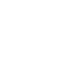 Star Wars: Galactic Racer Memories T_UI_Memory_Icon_COR1